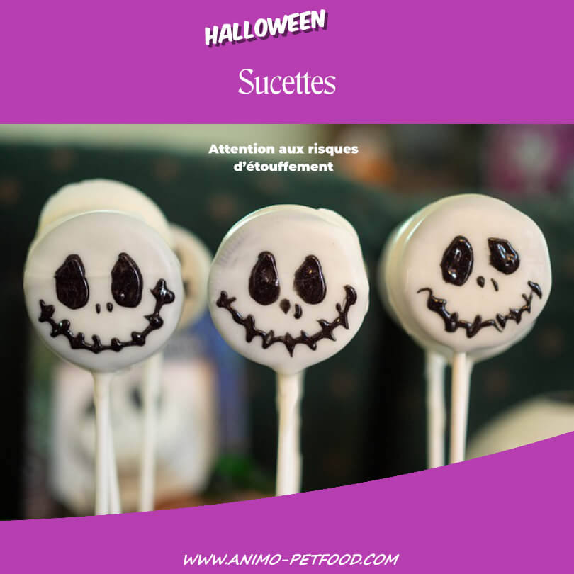 bonbons-halloween-danger-pour-chien-chat
